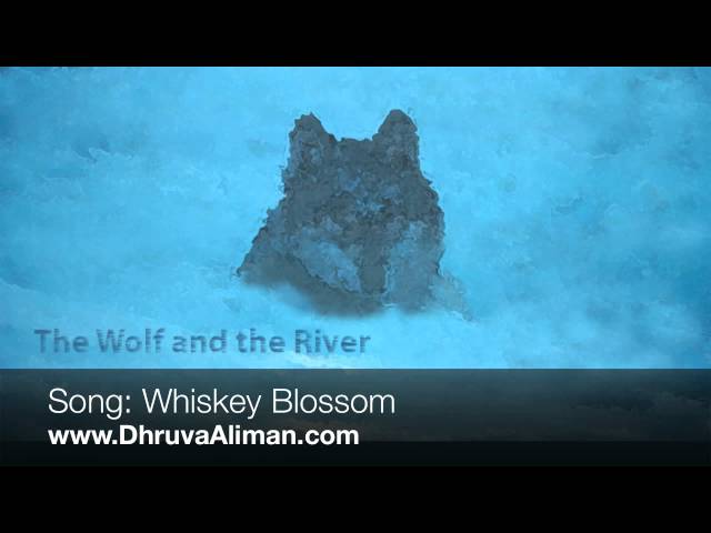 Whiskey Blossom ~ Dhruva Aliman