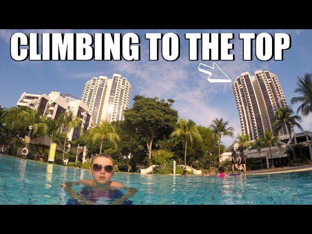 I climbed to the top of that! Singapore vlog