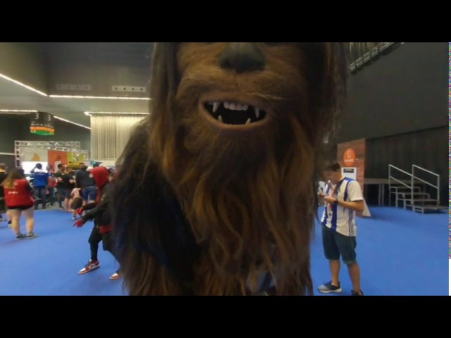 Euskal Party 2019   Chewbacca Saluda 180º