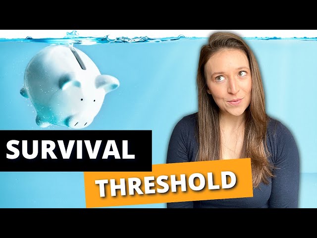 The Earliest MOMENT You Hit Financial Freedom | Survival Threshold