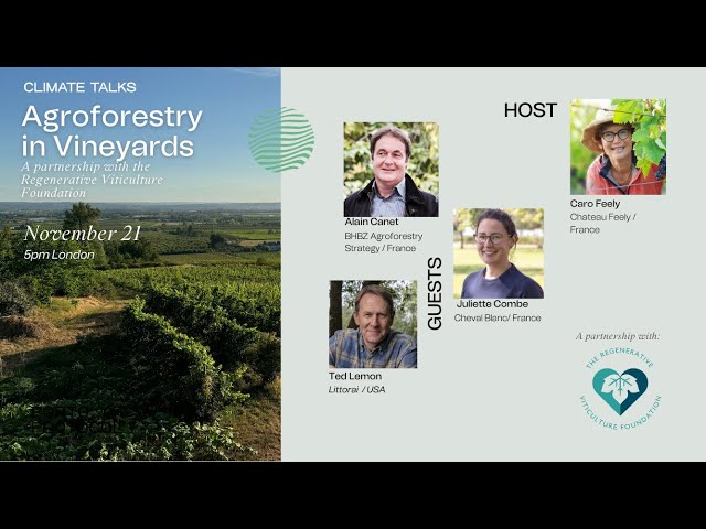 Agroforestry in Vineyards