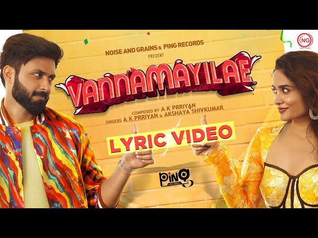 Vannamayilae | Lyric Video | Ashwin Kumar | Teju | AK Prriyan | Noise and Grains | Ping Records