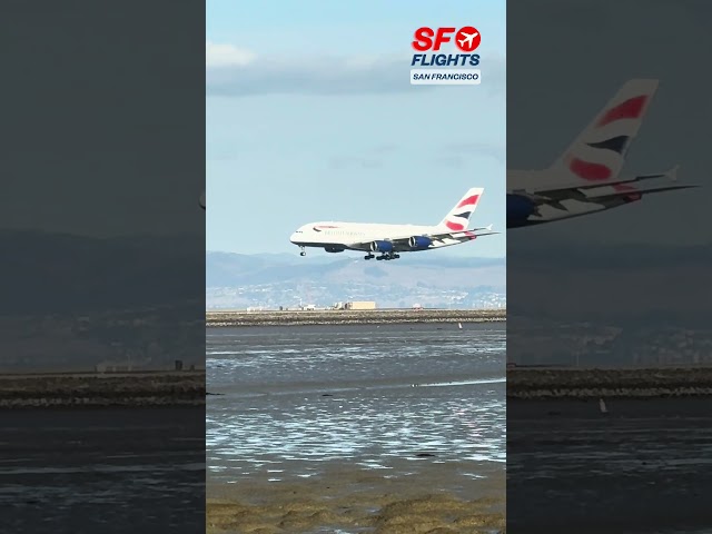 🇬🇧 British Airways | San Francisco International Airport 🌉 #aviation