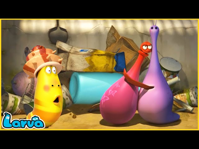 LARVA | Couple | CARTOON MOVIE FOR LIFE |THE BEST OF CARTOON | HILARIOUS CARTOON COMPILATION