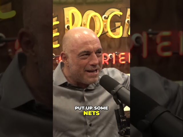 Joe Rogan JD Vance #shorts