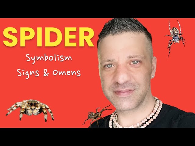 IF A SPIDER IS CRAWLING ON YOU | YOUR HEAD | YOUR BED OR A SPIDERS WEB | Symbolism | Signs & Omens