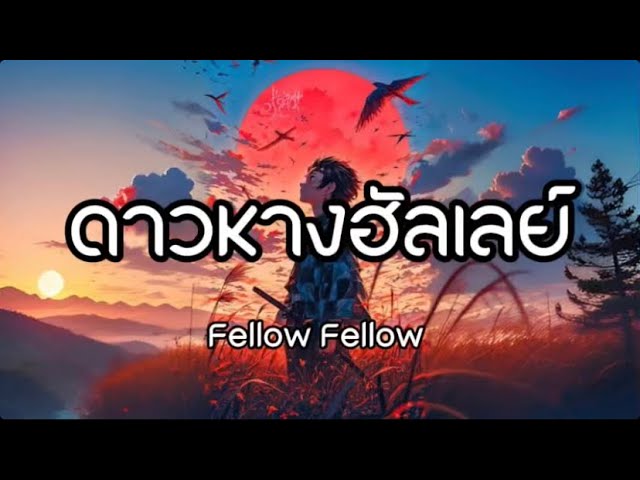 ดาวหางฮัลเลย์ Fellow Fellow (เนื้อเพลง)