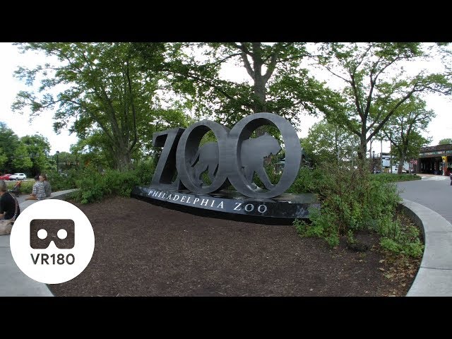 Philadelphia Zoo 2019 (VR180)