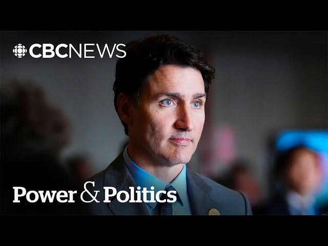 Trudeau blames 'bad actors' for immigration troubles, says he could have acted faster | Power Panel