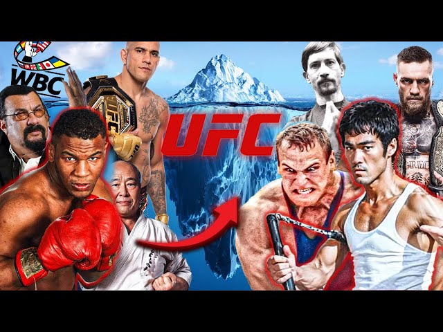 The Martial Arts and UFC Styles Iceberg Explained