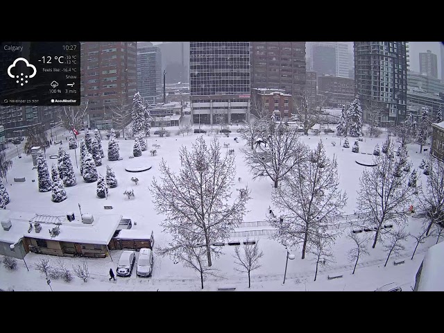 Live Cam, Central Memorial Park, Calgary, Alberta