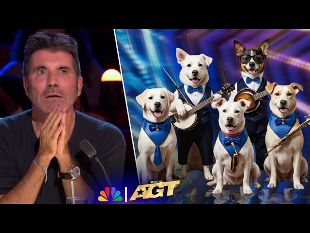 The musical dogs outperform all the talents on America's Got Talent