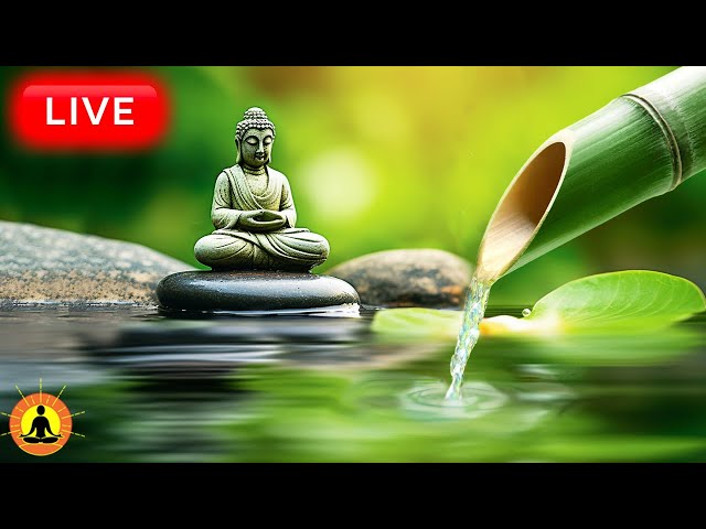 🔴 Relaxing Music 24/7, Stress Relief Music, Sleep Music, Meditation Music, Study, Calming Music