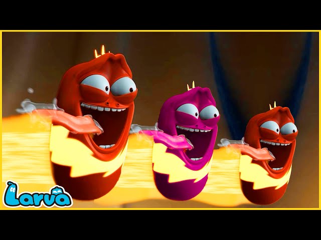 LARVA | SUPER SPEED | CARTOON MOVIE FOR LIFE |THE BEST OF CARTOON | HILARIOUS CARTOON COMPILATION