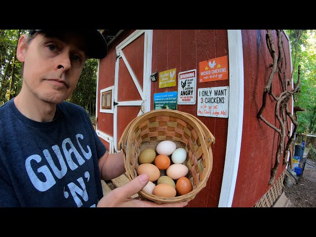 How to Retire Early and be a Full Time Homesteader