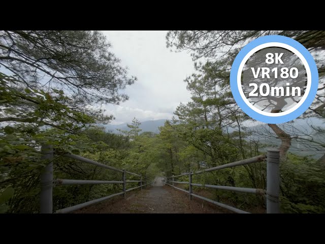 20 Min Meditation Sit on the stairs surrounded by nature VR180 8K Binaural ASMR