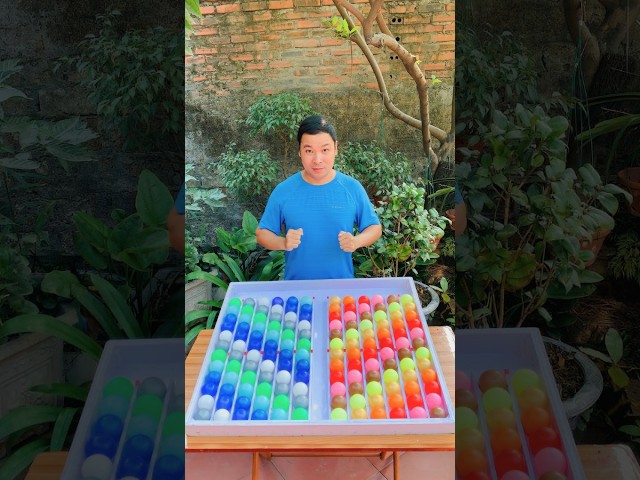 IQ game challenge color ball sort puzzle 215