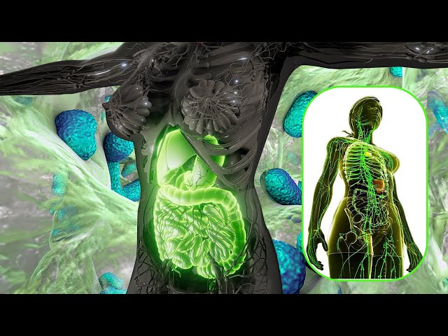 432Hz + 528Hz + 963Hz + 852Hz - Transform The Whole Body with Hz Frequency (Warning:Very Powerful!)?