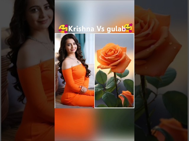 Dangal tv serial 🥰 actress krishna Vs gulab cute 🥰 actress chahat pandey💞#dangaltv #shorts#newvideo