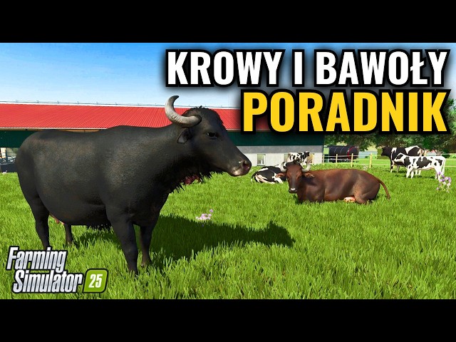 KROWY i BAWOŁY w Farming Simulator 25 🔥 PORADNIK hodowli zwierząt