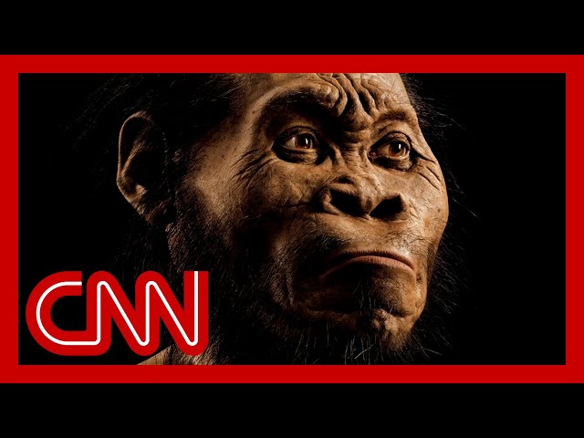 'That just died': Paleoanthropologist debunks myth about humans