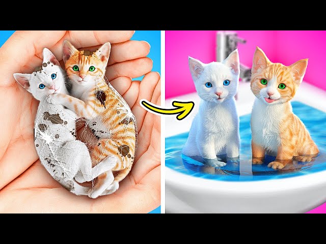 🐾 Must-Have Makeover GADGETS for My Pet from TikTok ✨