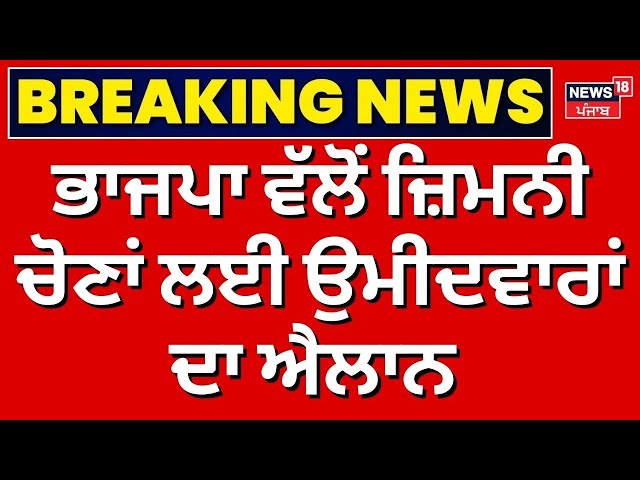 Breaking News | BJP ਵੱਲੋਂ ਉਮੀਦਵਾਰਾਂ ਦਾ ਐਲਾਨ | Punjab News | By Elections | News18 Punjab Live