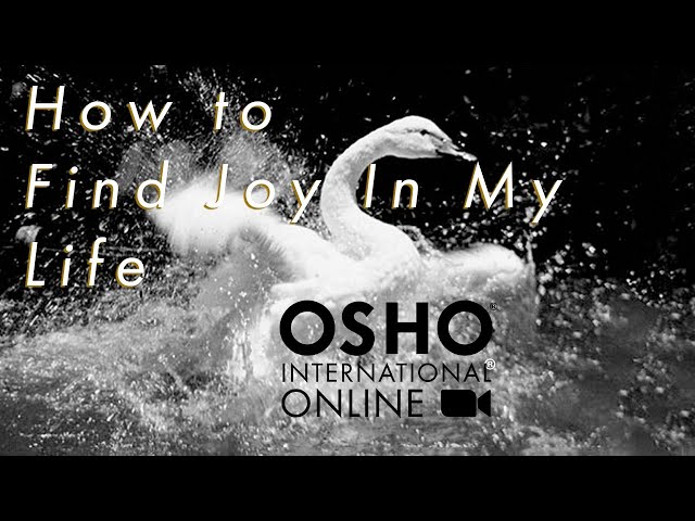 How to Find Joy in My Life? | OSHO International Online | With Amrito