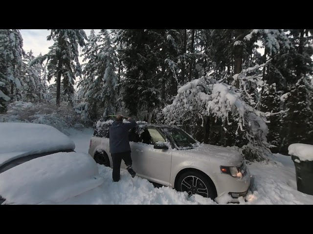 Cars snowed-in!