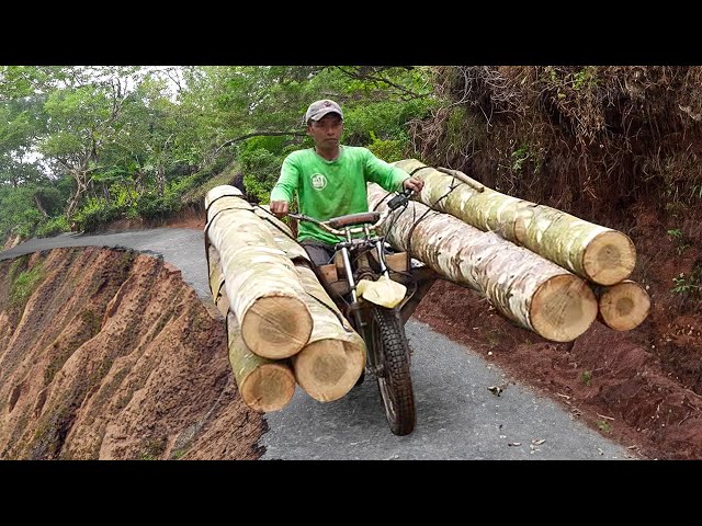 Extreme Off-Road Bikes Moving Tons of Logs in Mountain