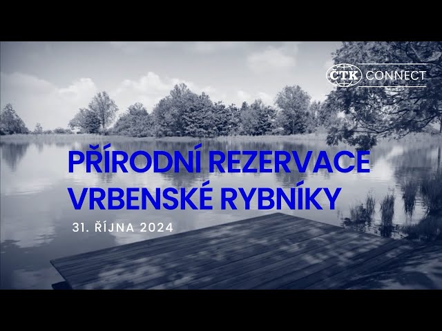 Vrbenské rybníky v u Českých Budějovic: Splněné přání i průlom v myšlení