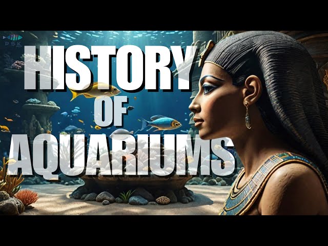 The Incredible History of Aquariums (From Ancient Egypt)