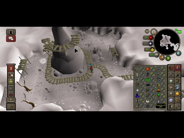 Old School RuneScape 2024 11 20 09 04 48