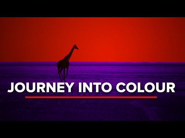 Pete Turner's Captivating Color Photography Technique