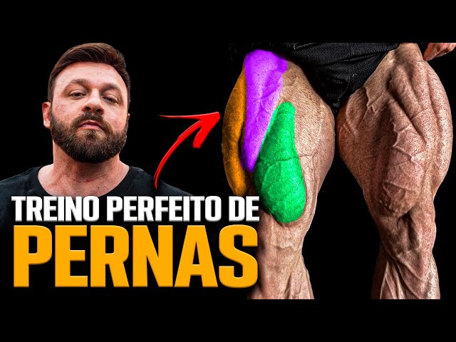 4 MELHORES EXERCÍCIOS PARA PERNAS *Melhore seus treinos*