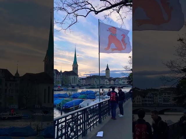 Swiss Beauty Zürich 🇨🇭 #shorts #zurich #beautiful #swiss #shortvideo #travel