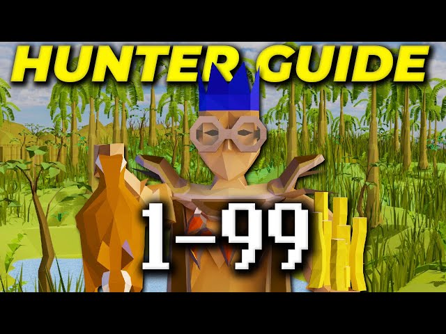 A Complete 1-99 Hunter Guide 2024 [OSRS]