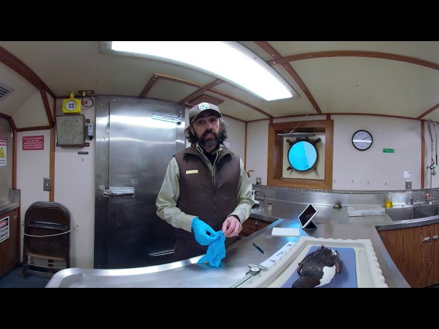 Dry Lab - On Board the R/V Tiglax