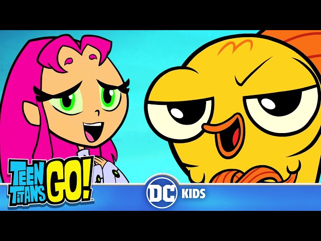 Teen Titans Go! | Sing Along: Take It Down Low By Starfire | @dckids