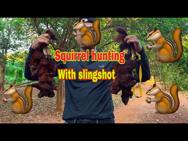 Hunting squirrels with team slingshot 🐿️🐿️