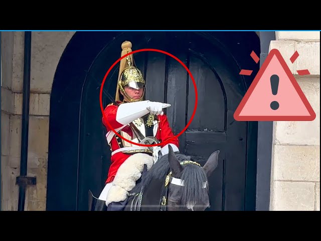 Alert King’s Guard Quickly Spots A Security Risk