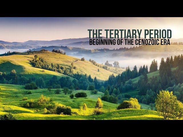 The Tertiary period - Beginning of the Cenozoic Era