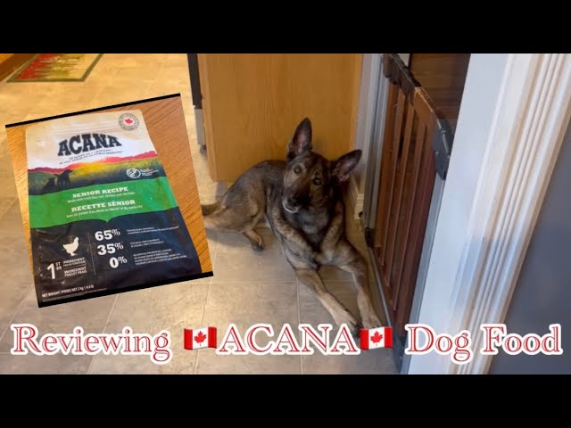 🇨🇦 ACANA 🇨🇦 Canadian Made Dry Dog Food Review