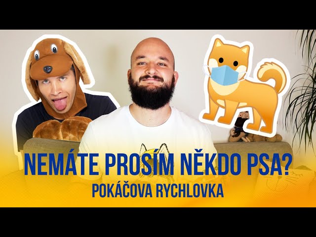 Nemáte prosím někdo psa? | POKÁČOVA RYCHLOVKA