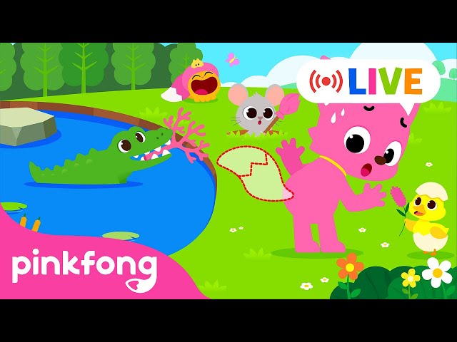 [🔴 LIVE] Pinkfong 2024: BEST of the BEST Songs | Watch on Mobile📱| NEW | Official Pinkfong