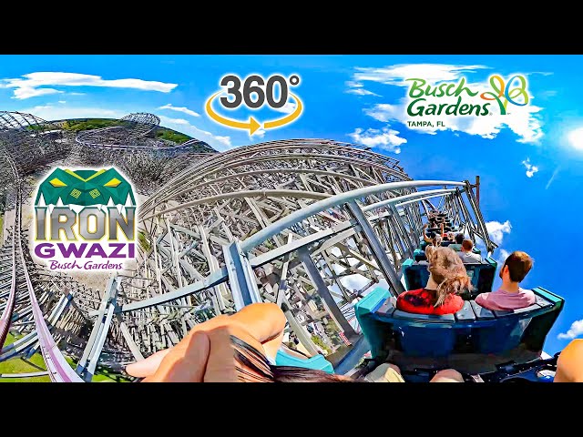 VR 360 Iron Gwazi Roller Coaster On Ride Back Seat POV Busch Gardens Tampa 2024 09 30