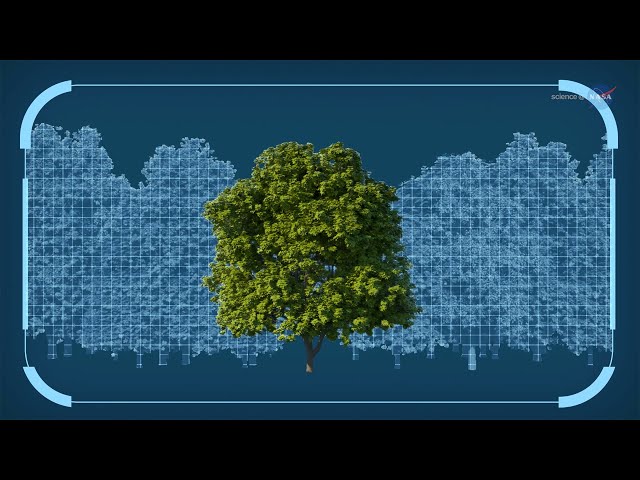 NASA ScienceCasts: Shining Laser Light on Earth’s Forests