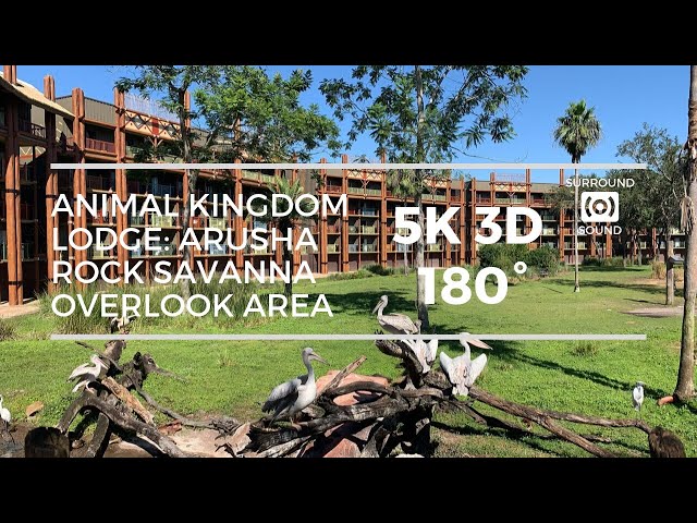 Animal Kingdom Lodge Arusha Rock Savanna Overlook Area (5K 3D 180°)