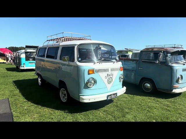 Old Bar Beach Kombi Festival - Panorama of kombis #OBBF2024 #OldBarBeach #Kombis #shorts