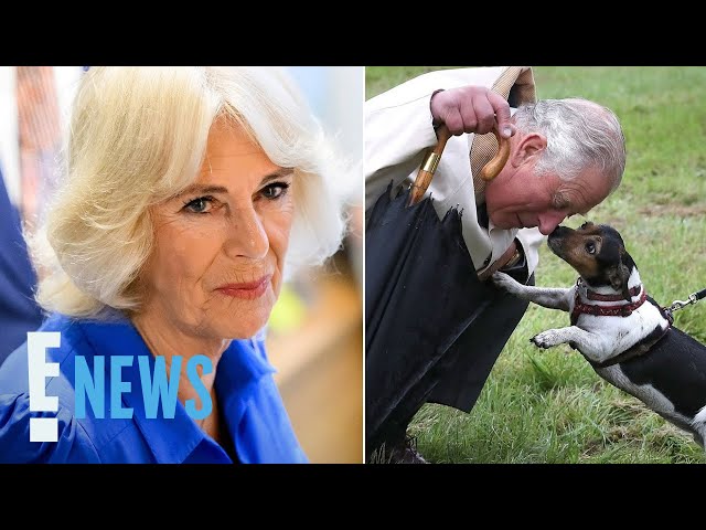 Queen Camilla Mourns Death of Her and King Charles III’s Beloved Dog Beth | E! News